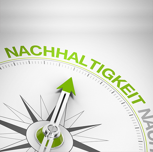 Kompassnadel zeigt auf Nachhaltigkeit© AdobeStock: Coloures-Pic