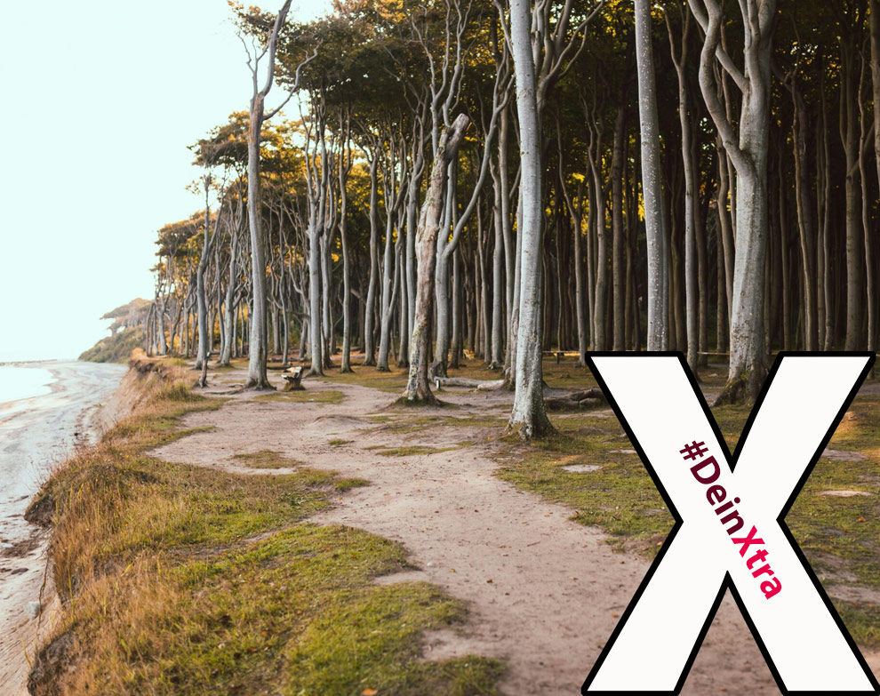 © Ferienhäuser Salzhaff #DeinXtra © Ferienhäuser Salzhaff